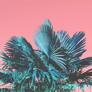 Meet your Posher, Kylee